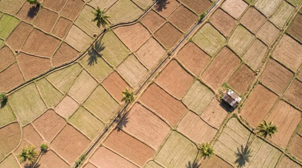 Aerial view straight down onto fragmented agricultural land, dozens of small irregular field parcels separated by raised earthen bunds and footpaths